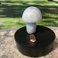 Celestite Mushroom