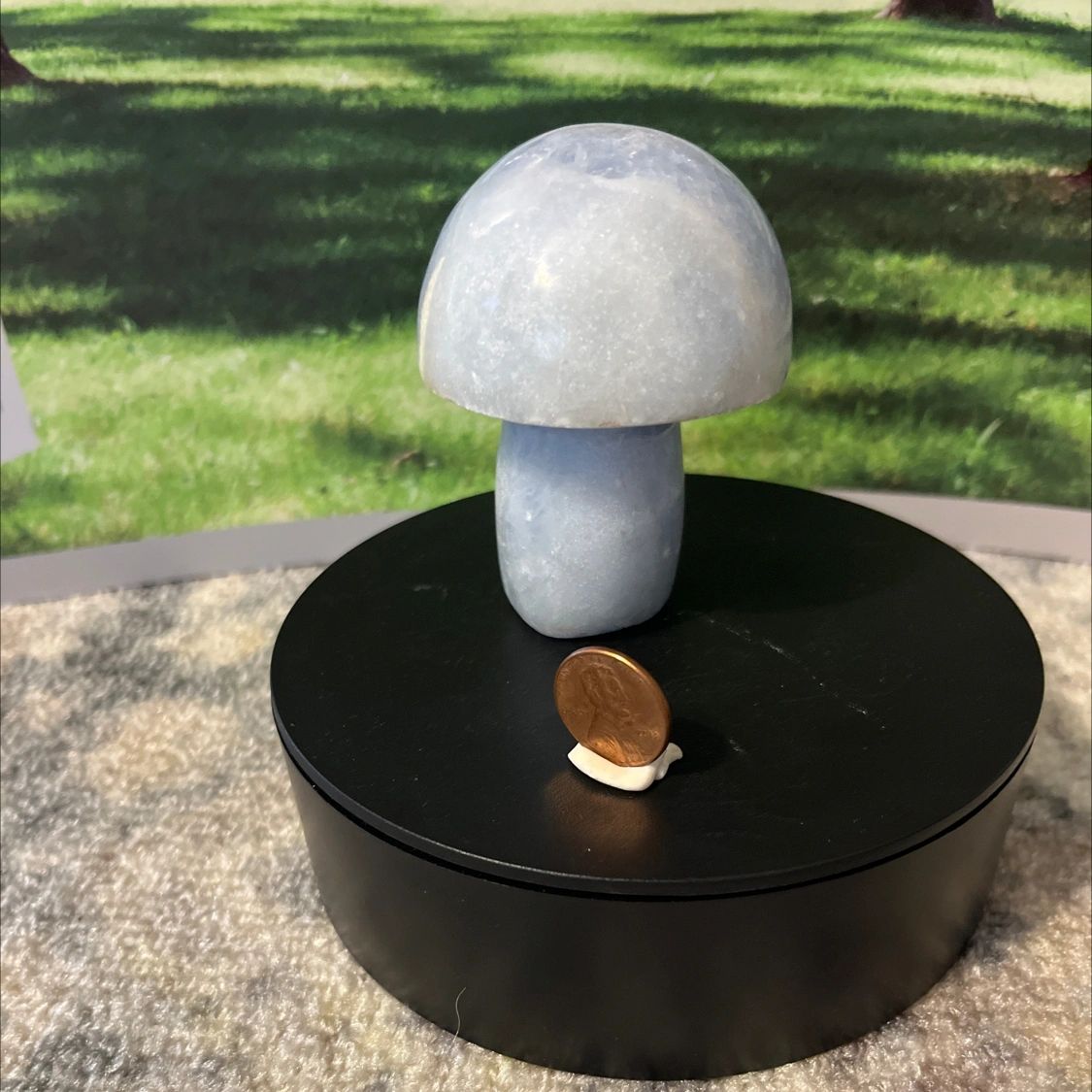 Celestite Mushroom