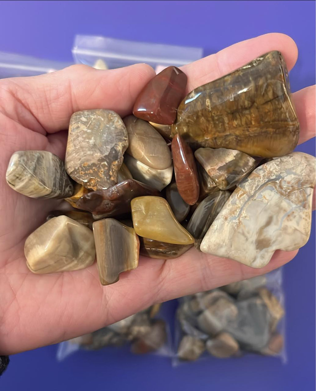 Petrified Wood Tumbles