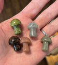 Mini- Mushroom Set of 5