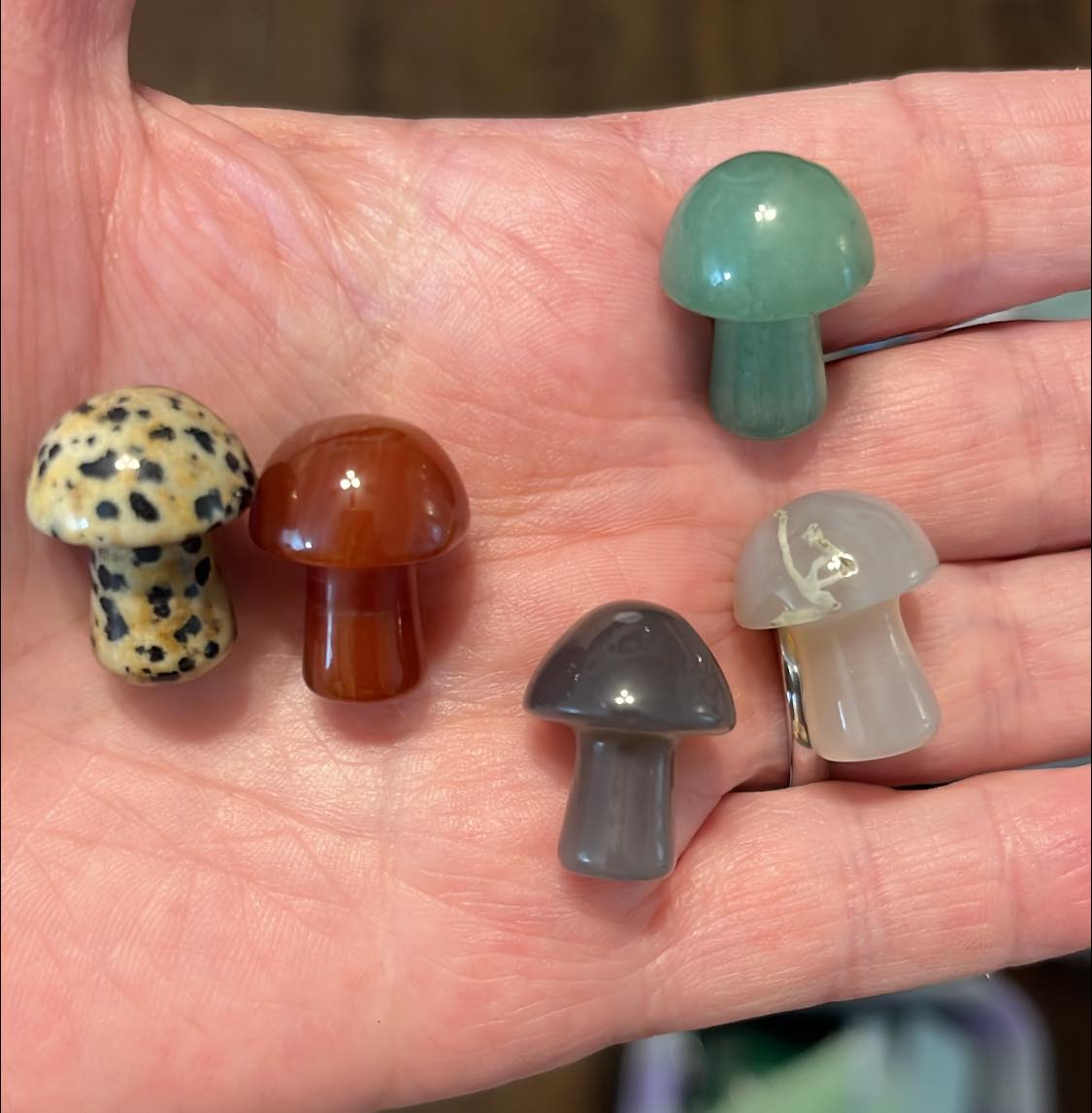 Mini- Mushroom Set of 5