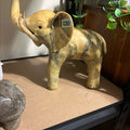 Oyster Shell Elephant